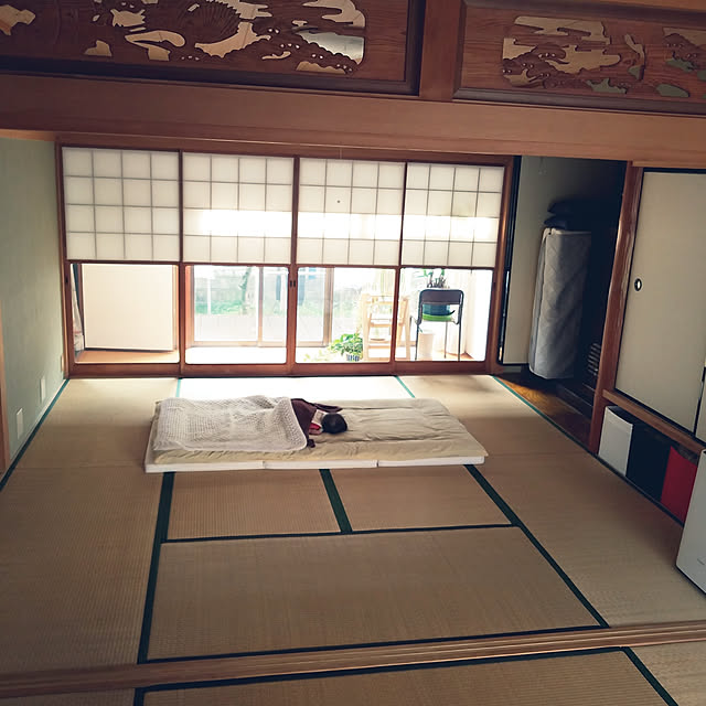 albaさんの実例写真