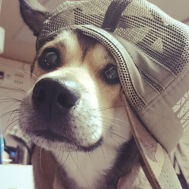 andさんの実例写真