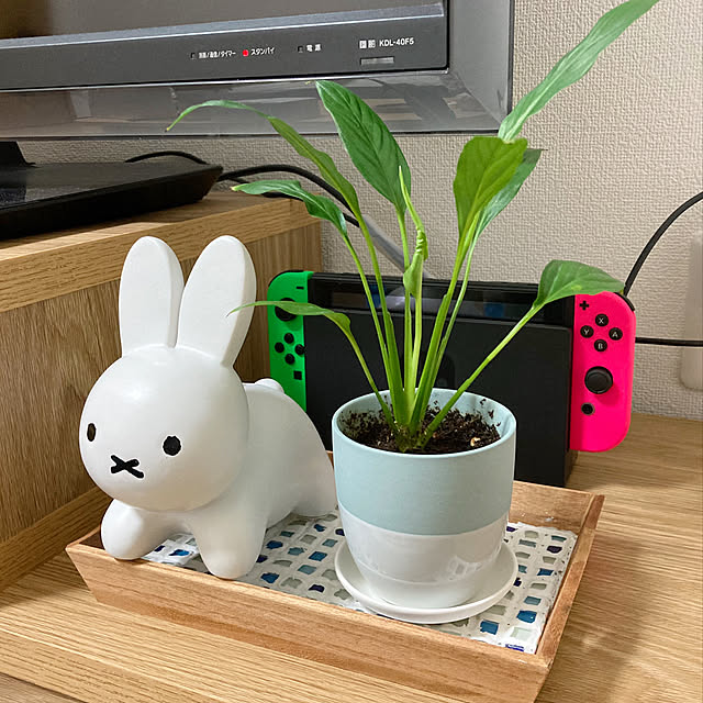 gumiさんの実例写真
