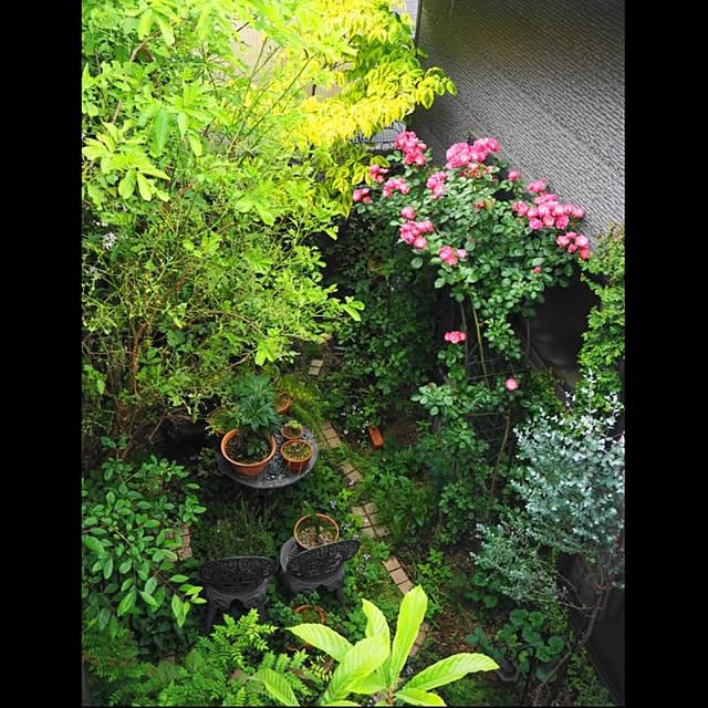 aromameさんの実例写真