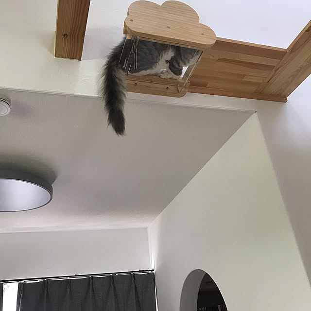 nukooさんの実例写真