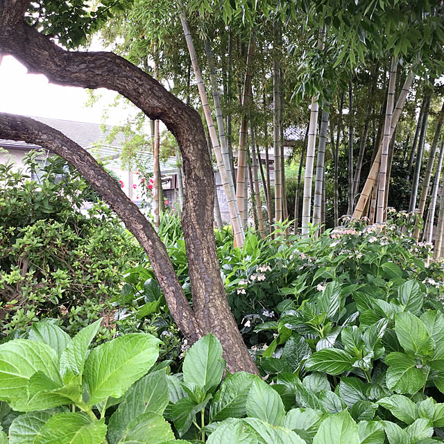 houenさんの実例写真