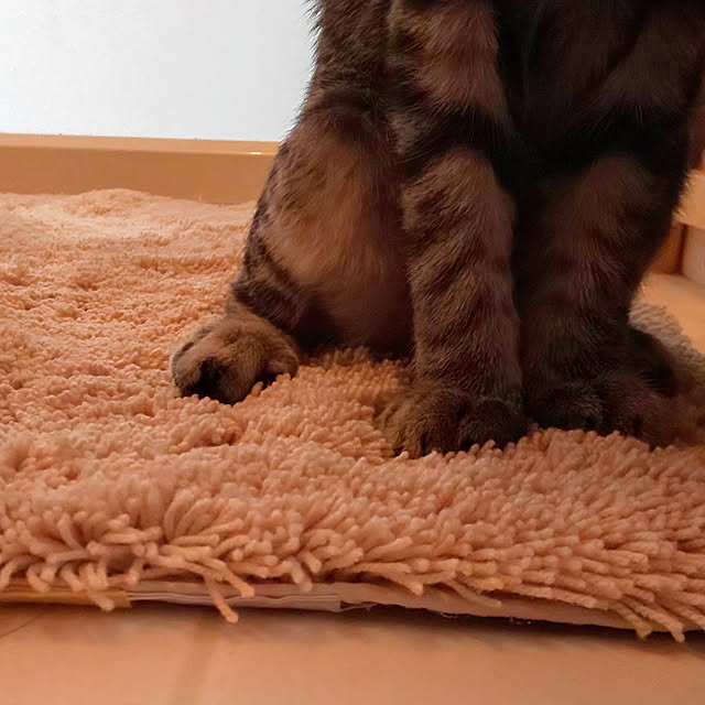 37さんの実例写真