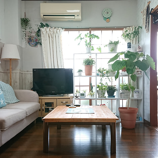 部屋全体/一人暮らし/賃貸インテリア/花のある暮らし/植物のある暮らし...などのインテリア実例 - 2020-07-24 16:12:45