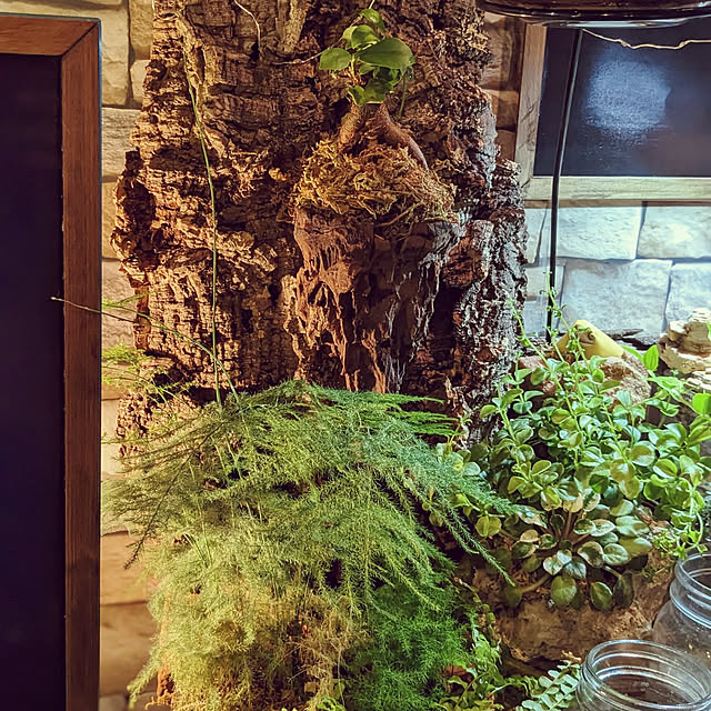 GINさんの実例写真