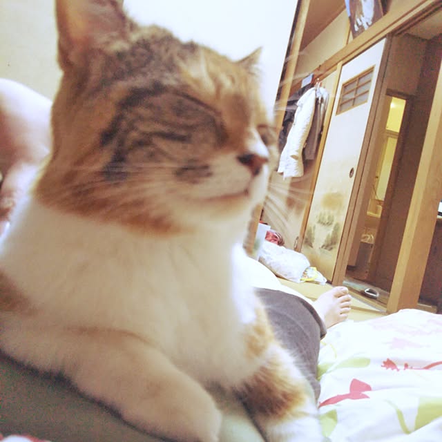 yukieさんの実例写真