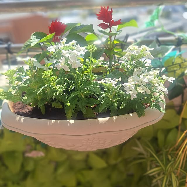 hakata-baさんの実例写真