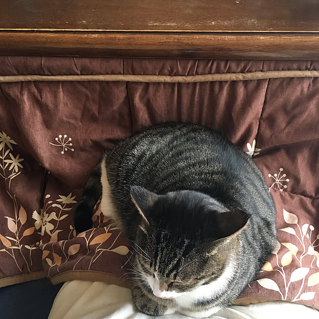 kimikimiさんの実例写真