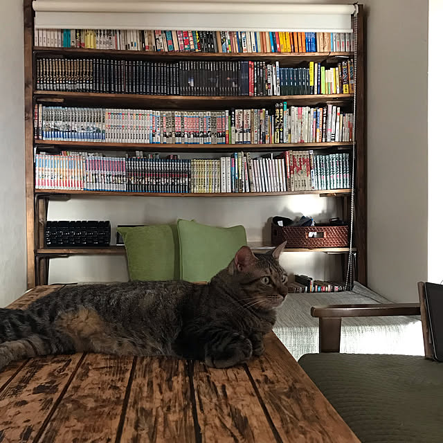 mikan161さんの実例写真