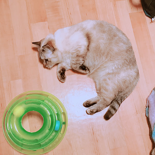 nachuさんの実例写真