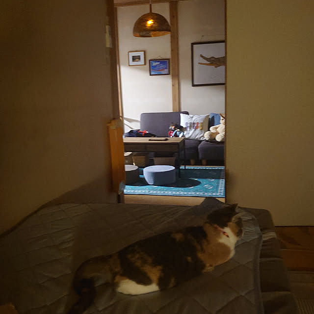 fukuさんの実例写真