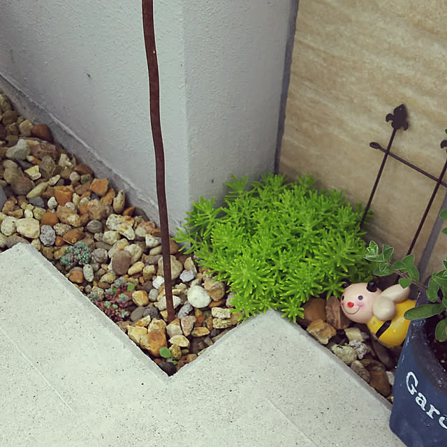 KOHAKUさんの実例写真