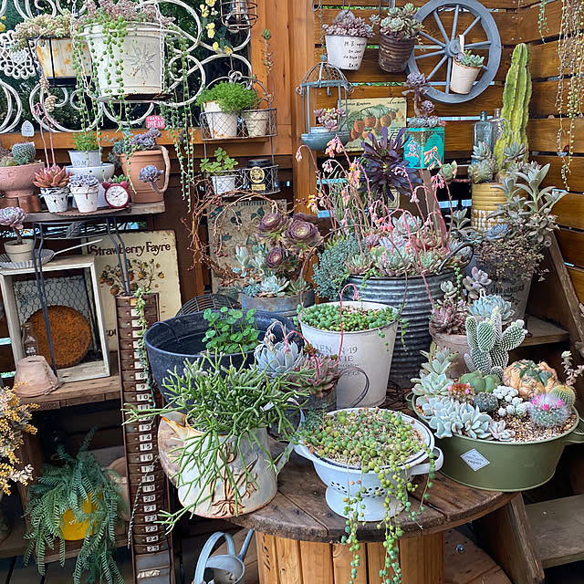 mintteaさんの部屋