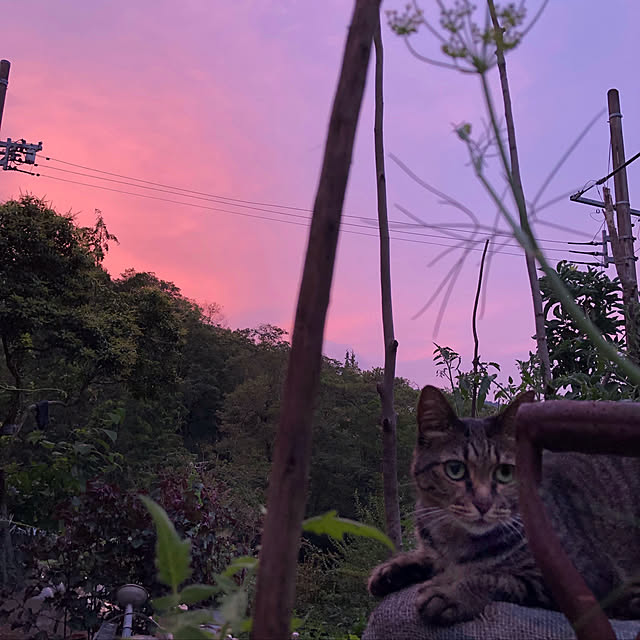 weさんの実例写真