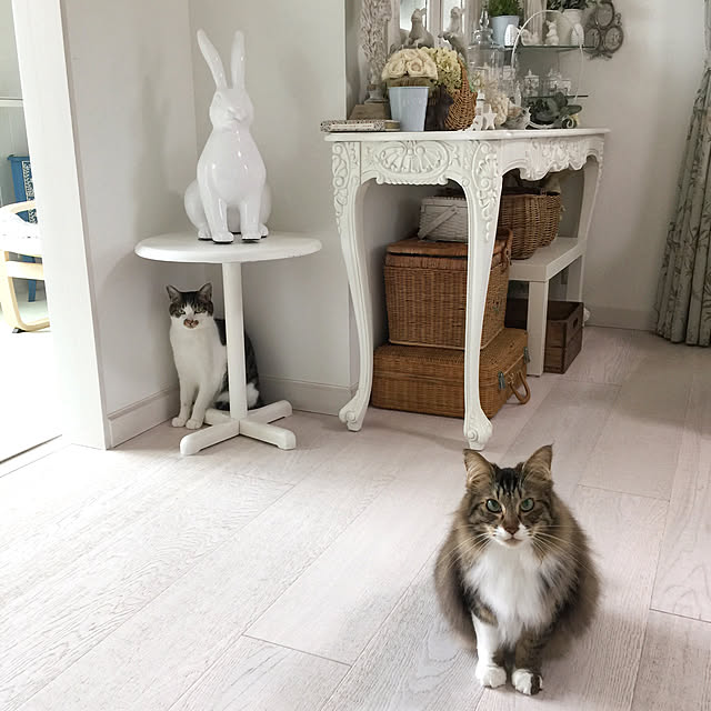 yuchiさんの実例写真