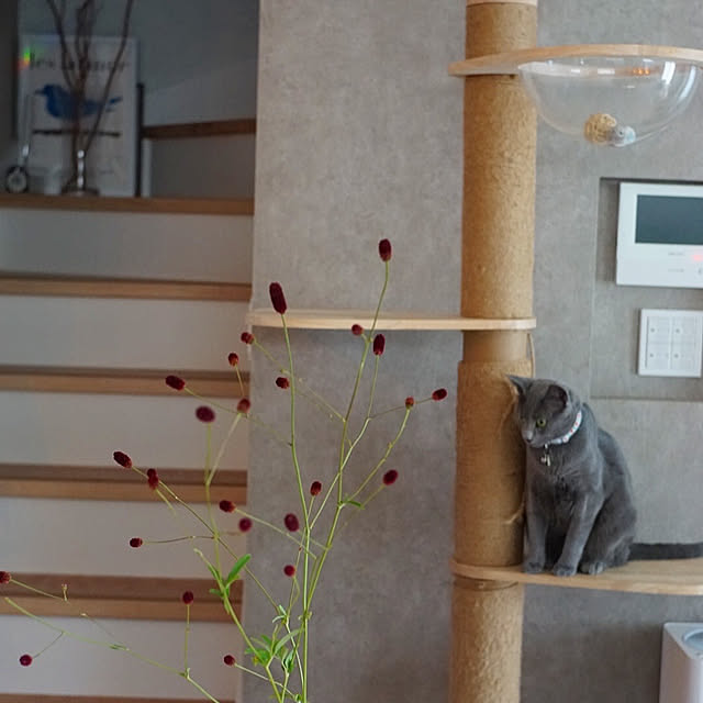 riri1989さんの部屋