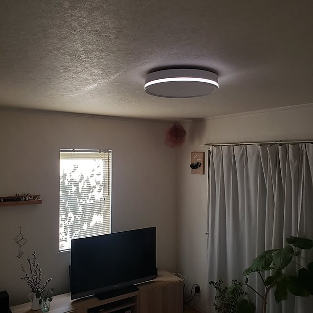 wanidaさんの部屋