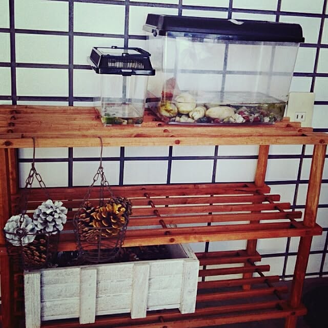 akichanさんの実例写真