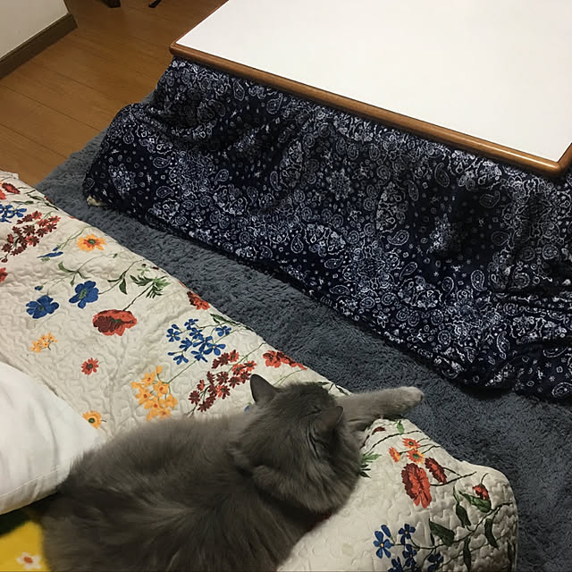 locottoさんの実例写真