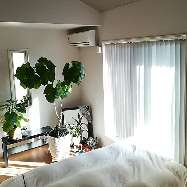 Jijiさんの実例写真
