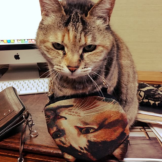 ringさんの実例写真