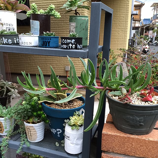 anz00さんの実例写真