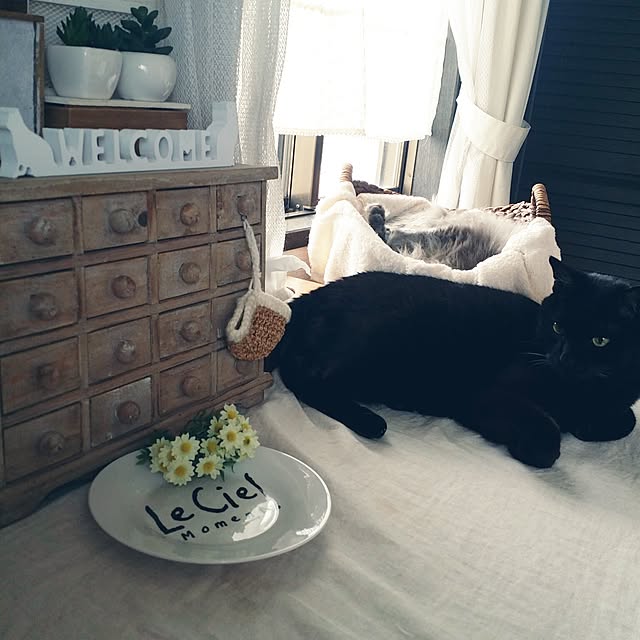 lecielさんの実例写真