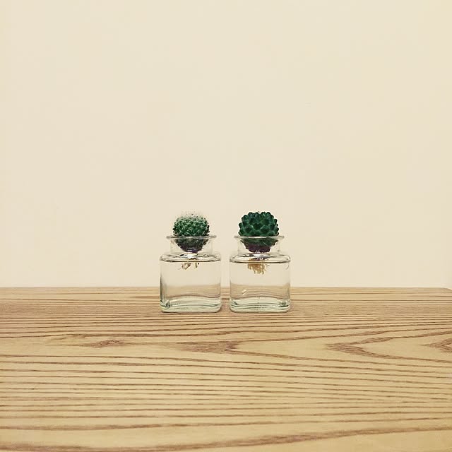 do_thee_boogieさんの実例写真