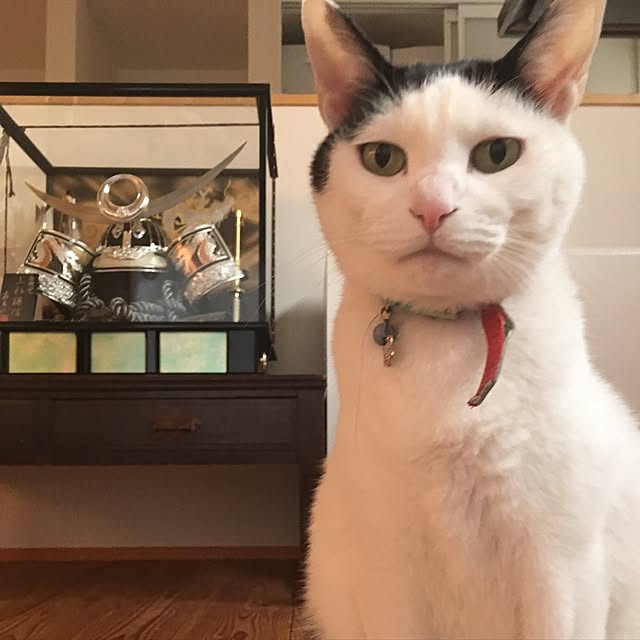 hachi8さんの実例写真