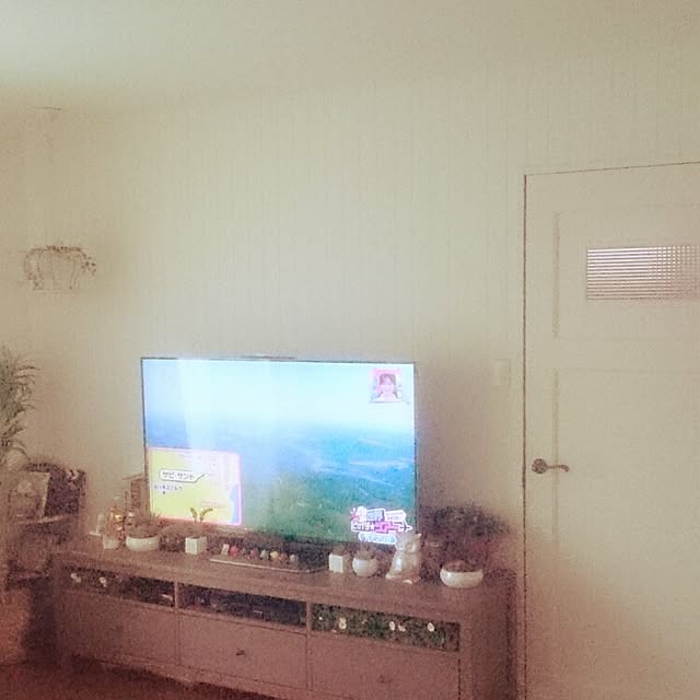 hoshiさんの実例写真