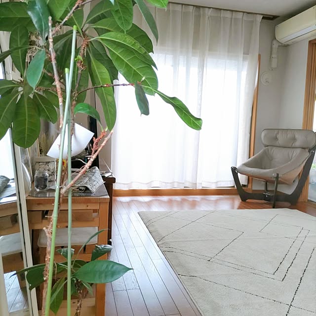 hiromiさんの実例写真