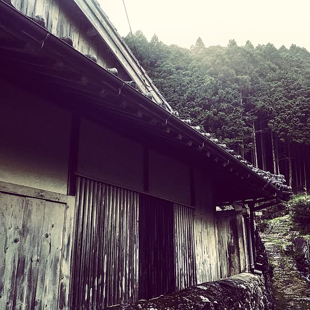 実例写真