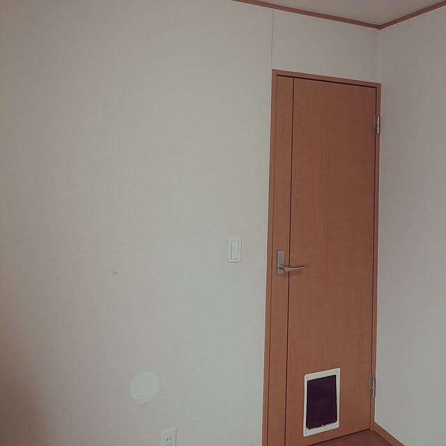 noguriさんの部屋