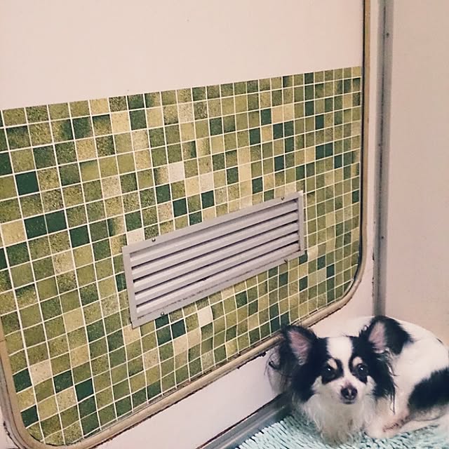 miporin0711さんの実例写真