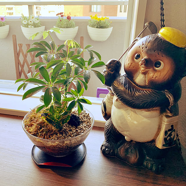 akimamさんの実例写真