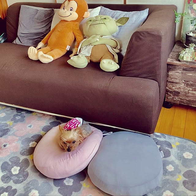 CoCo0617さんの実例写真