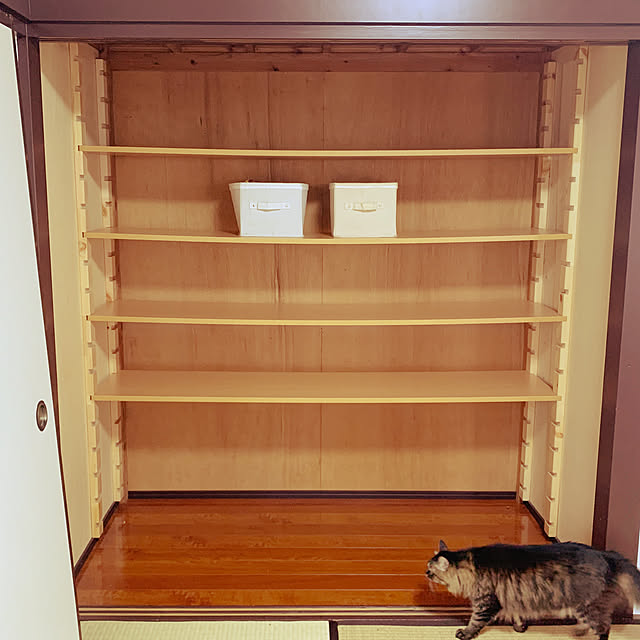 taeさんの実例写真