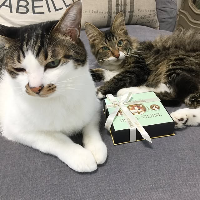 yuchiさんの実例写真