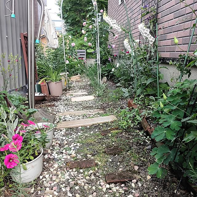kiraさんの部屋