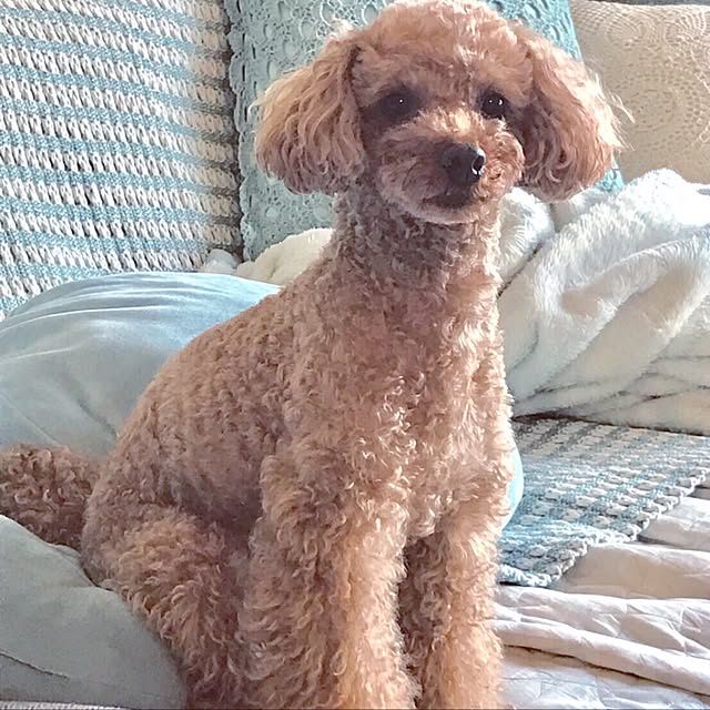 yukkoさんの実例写真