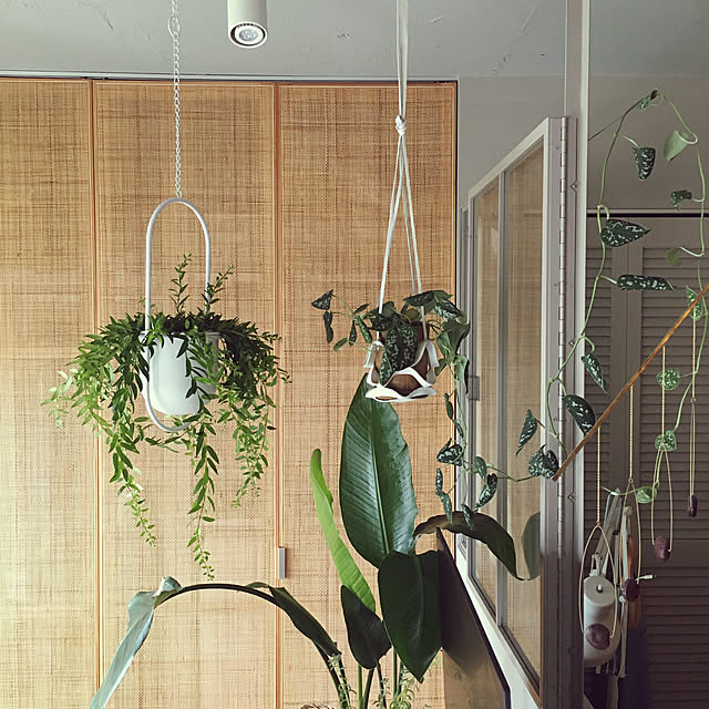 greenforestさんの実例写真