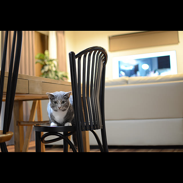 takiroraさんの実例写真