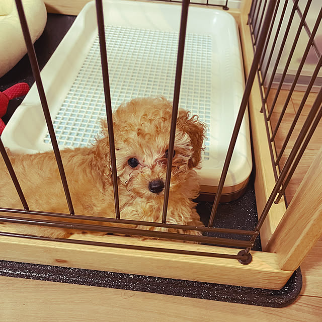 peachさんの実例写真