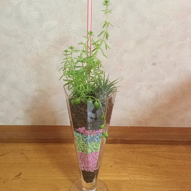 Naomiさんの実例写真