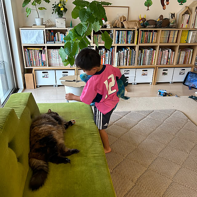 mikomaruさんの実例写真