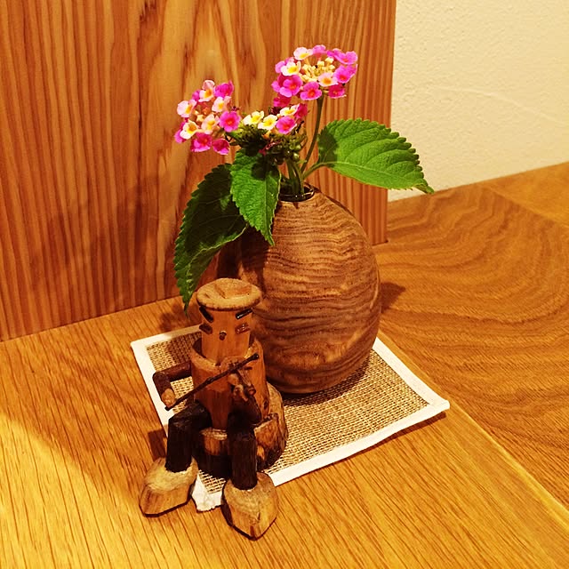 cavsan.mandolinさんの実例写真