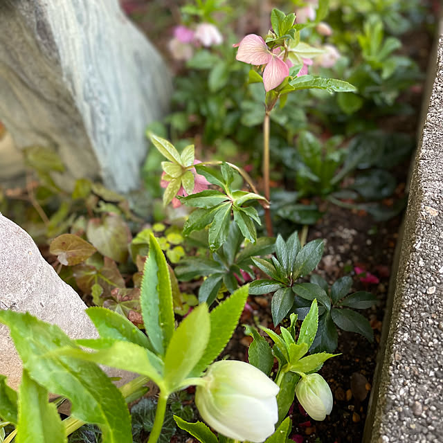 buchiさんの部屋