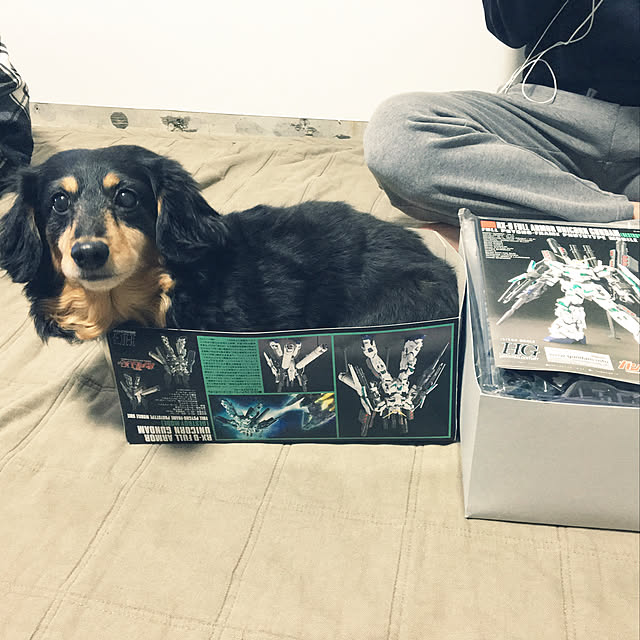 ohanaさんの実例写真