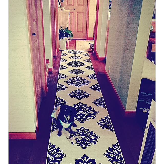 cloverさんの実例写真