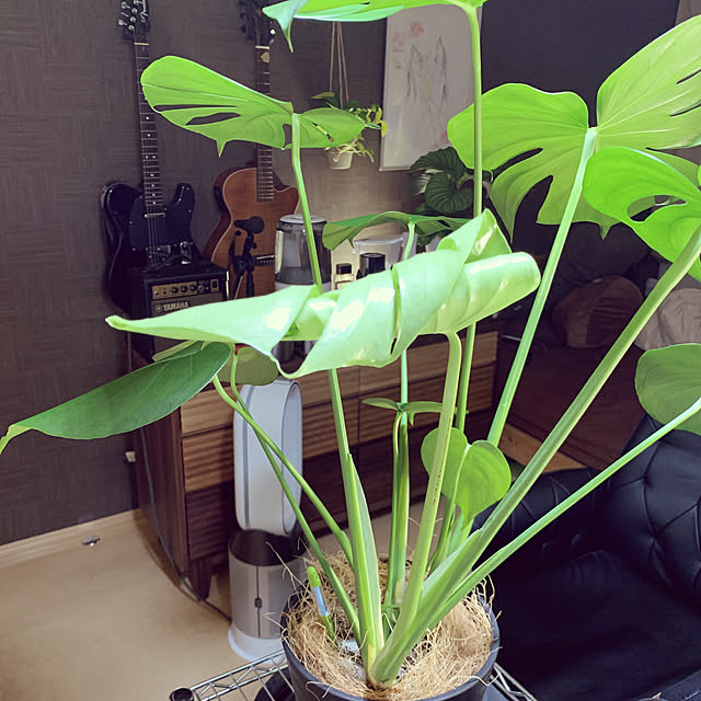 rinqさんの実例写真